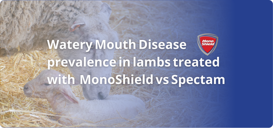 Watery Mouth Disease prevalence in lambs treated with MonoShield vs Spectam