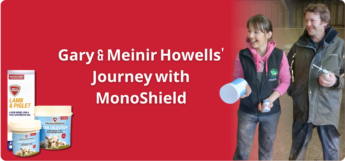 Gary & Meinir Howells' Journey with MonoShield