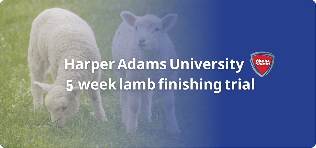 Harper Adams University 5 week lamb finishing trial