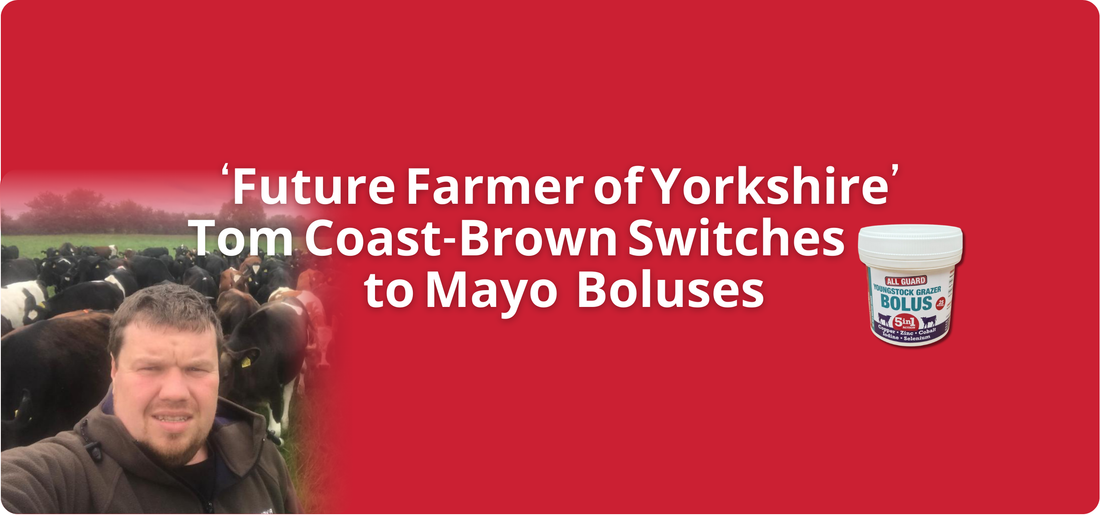 ‘Future Farmer of Yorkshire’ Tom Coast-Brown Switches to Mayo Boluses