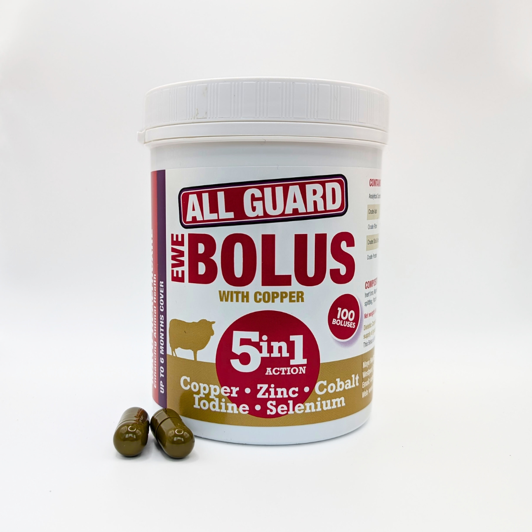 All Guard Ewe 5in1 (4g Copper)
