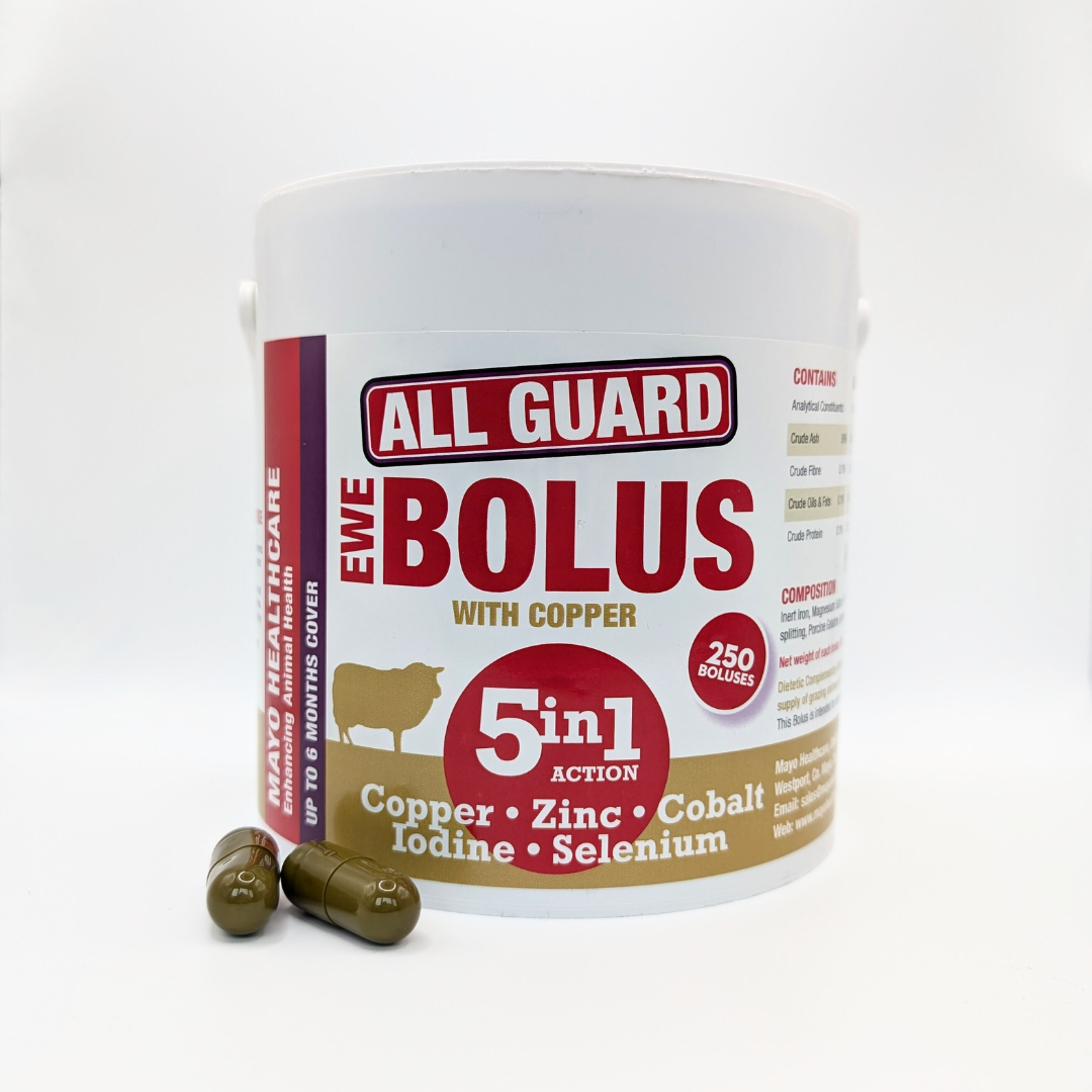 All Guard Ewe 5in1 (4g Copper)