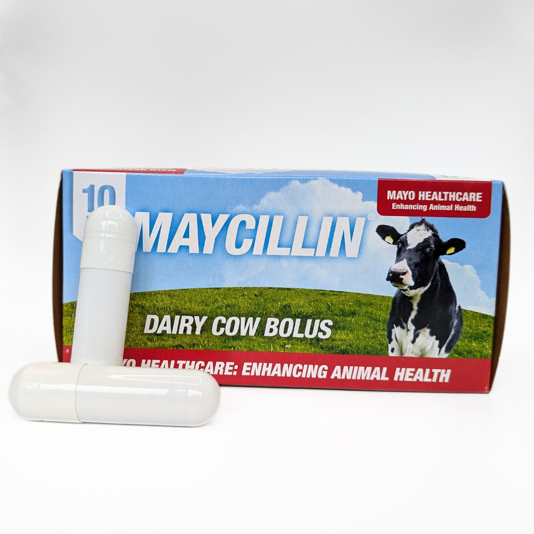 Maycillin