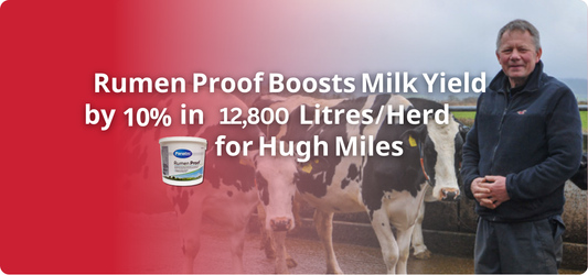 Rumen Proof Boosts Milk Yield by 10% in 12,800 Litres/Herd for Hugh Miles