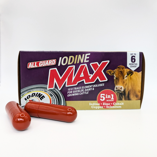 All Guard Iodine Max 5in1