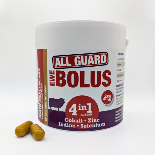 All Guard Ewe 4in1