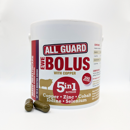 All Guard Ewe 5in1 (4g Copper)