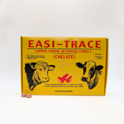 Easi-Trace