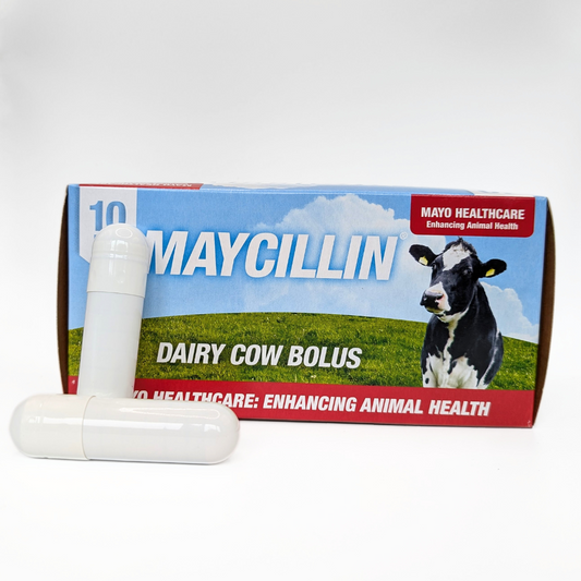 Maycillin