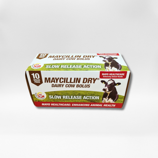 Maycillin Dry
