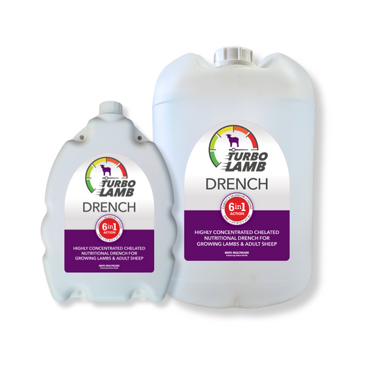 Turbo Lamb 6in1 Drench
