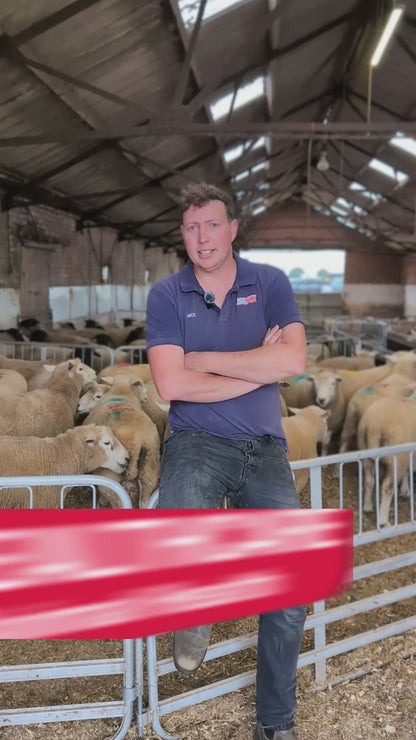 All Guard Ewe 5in1 (4g Copper)