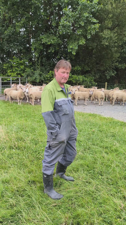 All Guard Ewe 5in1 (4g Copper)